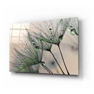 Skleněný obraz Insigne Green Dandelion