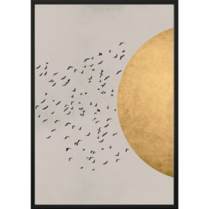 Nástěnný plakát v rámu BIRDS/SILHOUTTE, 70 x 100 cm